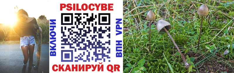 Псилоцибиновые грибы Psilocybine cubensis  Котовск 