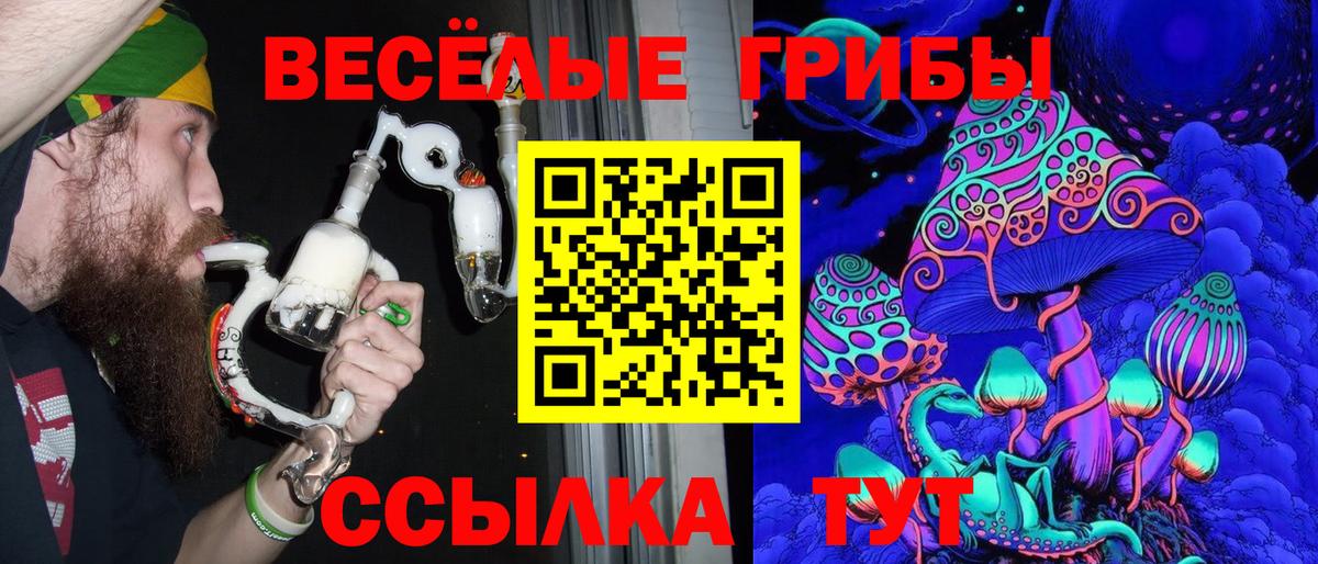 Псилоцибиновые грибы Psilocybine cubensis  Вход с VPN  Галлюциногенные грибы MAGIC MUSHROOMS  Котовск 