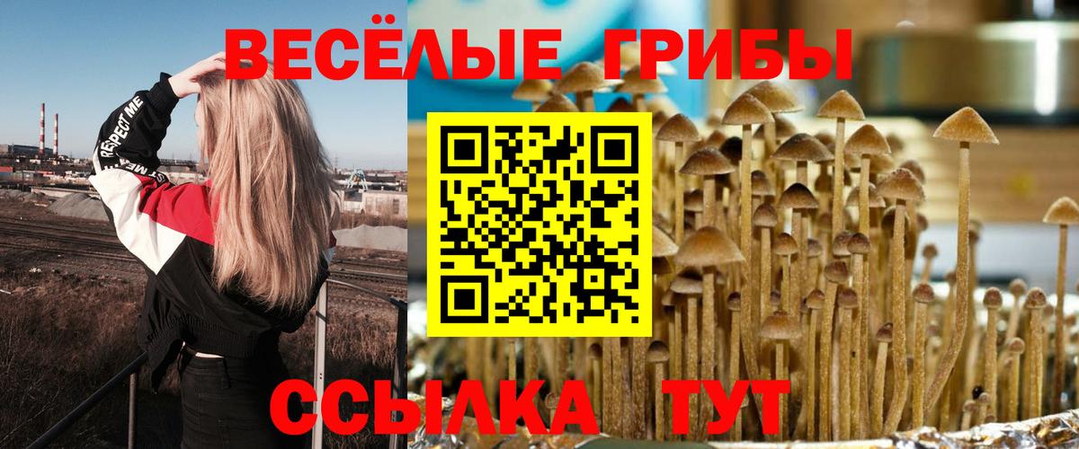 Псилоцибиновые грибы MAGIC MUSHROOMS Котовск